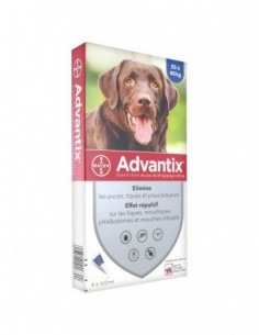 Advantix Grand Chien...