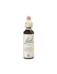 Fleurs de Bach Original 30...