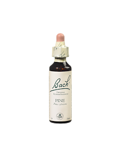 Fleurs de Bach Original 24...