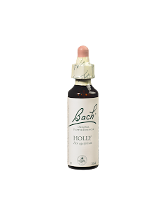 Fleurs de Bach Original 15...