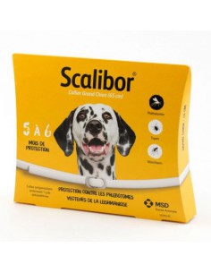 Collier Grand Chien - 65cm