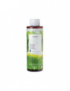 Gel douche Basilic Citron -...