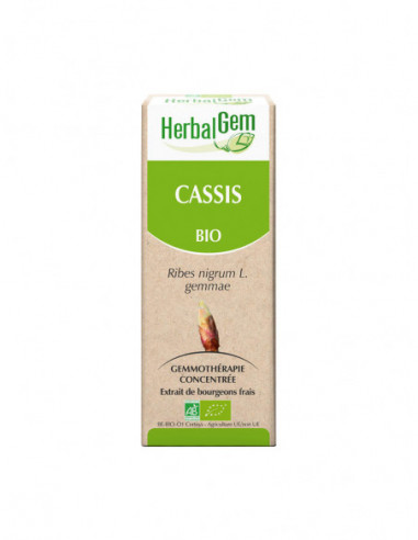 HerbalGem Bio Cassis - 30 ml