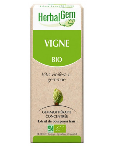 HerbalGem Bio Vigne - 30 ml