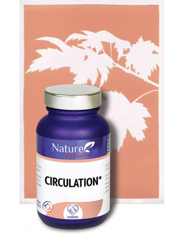 Circulation - 60 gélules