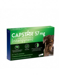 CAPSTAR Anti puces Chien de...