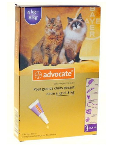 Advocate Antiparasitaire Grands Chats...