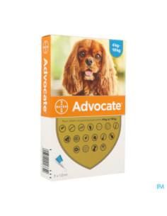  Advocate Chien moyen 4-10...