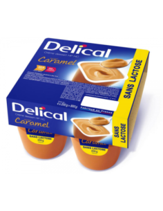 Délical Crème Dessert HP/HC...