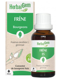 HerbalGem Frêne Bio - 30 ml