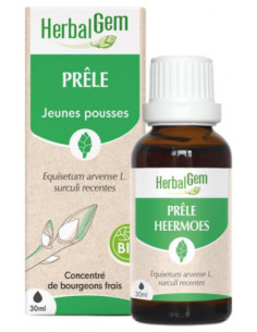 HerbalGem Prêle Bio - 30 ml