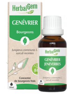 HerbalGem Genévrier Bio -...