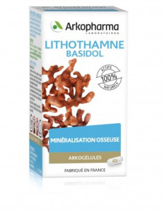 Arkogélules Basidol - 45 gélules