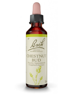 Fleurs de Bach Original 35 White Chestnut (Marronnier d'Inde) - 20ml
