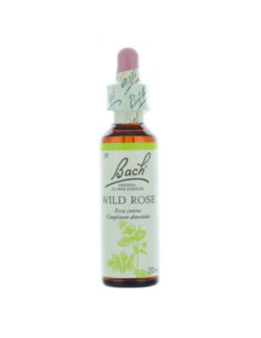 Fleurs de Bach Original 37 Wild Rose (Églantier) - 20ml