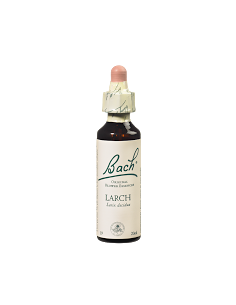 Fleurs de Bach Original 19 Larch (Mélèze) - 20ml