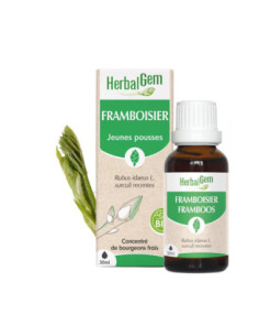 HerbalGem Bio Framboisier - 30 ml