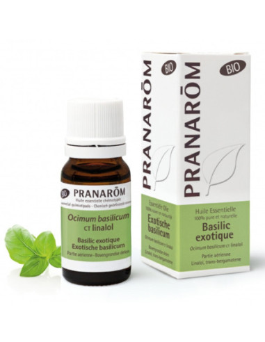 Huile Essentielle Basilic Exotique Bio - 10ml