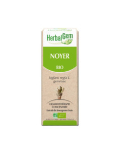 HerbalGem noyer bio - 30ml