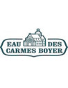 Carmes Boyer